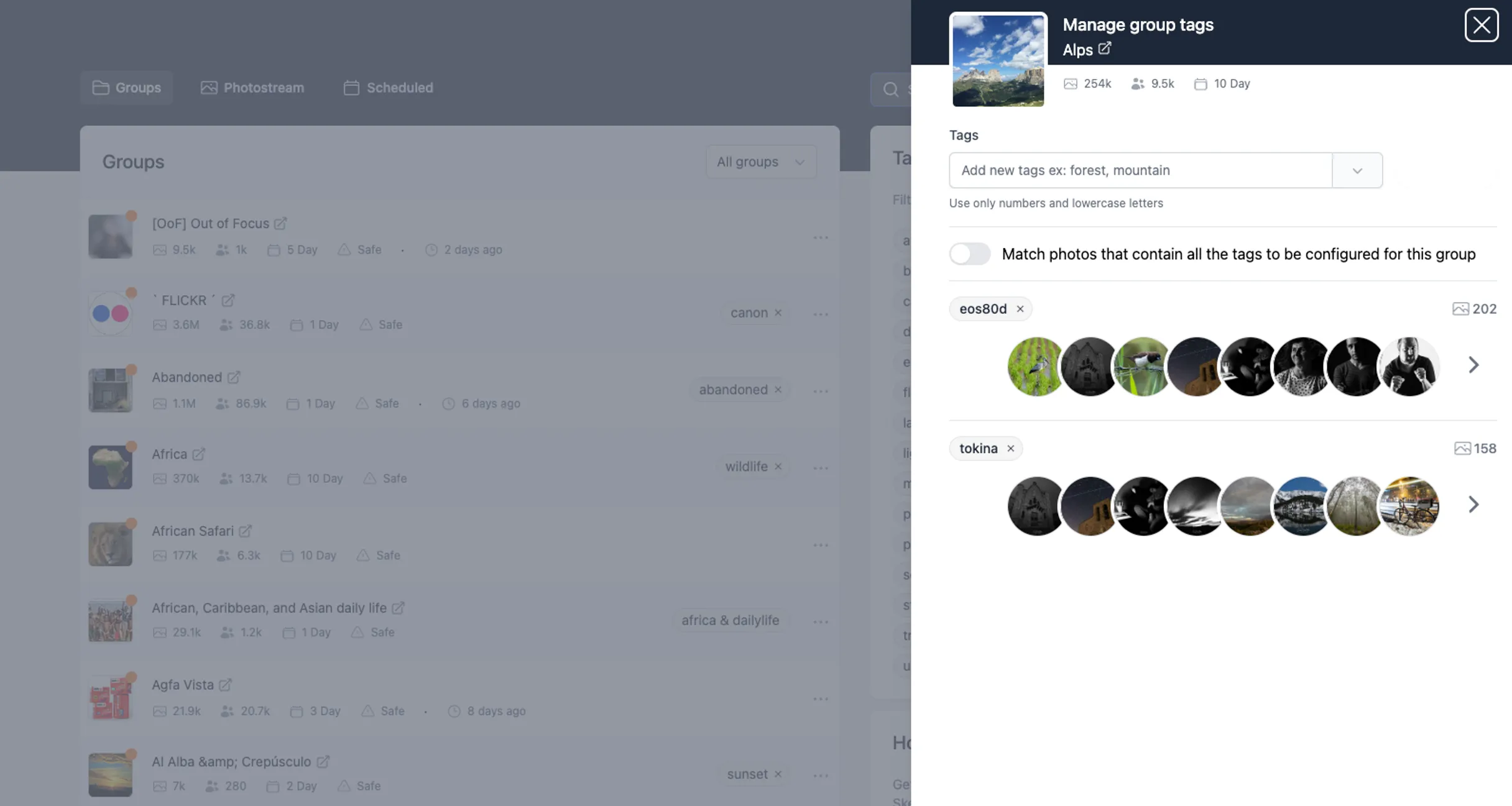 Customer profile user interface
