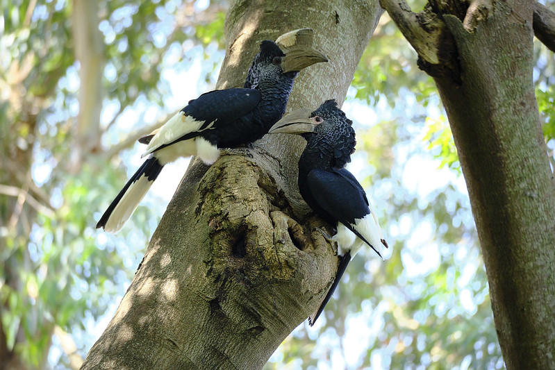 Sample photo from Tilapia Lodge